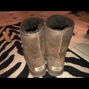 Chocolate Classic Uggs